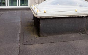 disadvantages of Burrells flat roofs