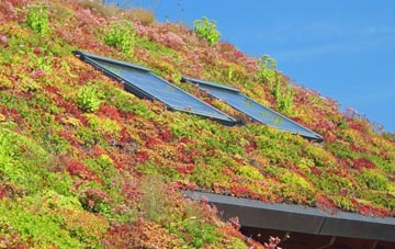 Burrells living roof systems